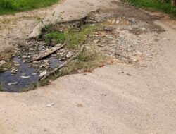 Dari Jalan Rusak Menuju Jalan Layak: Ketika Talumopatu Menanti Perbaikan